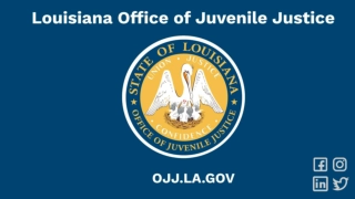 Juvenile Justice Partnerships for Productive Youth