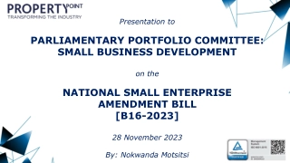 National Small Enterprise Amendment Bill