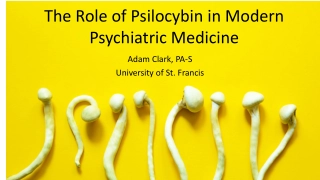 The Role of Psilocybin in Modern Psychiatric Medicine
