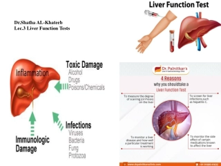 Understanding Liver Function Tests in Cholestatic Injury