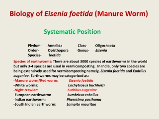 Biology of Eisenia foetida (Manure Worm)