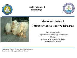 Introduction to Poultry Diseases