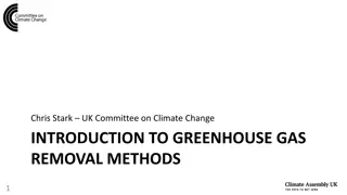 Sustainable Carbon Storage Methods for Climate Change Mitigation
