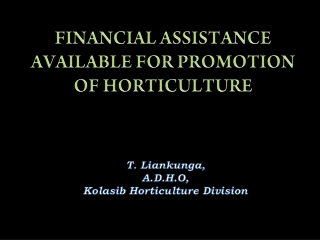 Horticulture Promotion Scheme in Mizoram