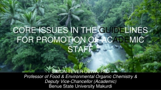 Guidelines for Academic Staff Promotion: Insights and Strategies