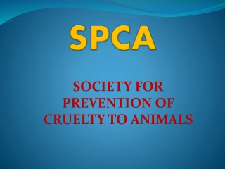 Animal Welfare Measures and Roles in Society