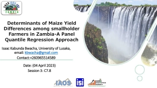 Determinants of Maize Yield Variation in Zambian Smallholder Farming