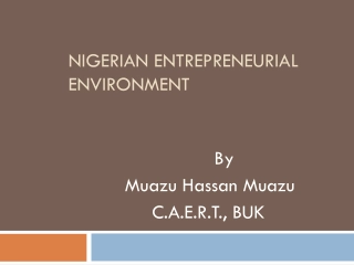 Nigerian Entrepreneurial Environment