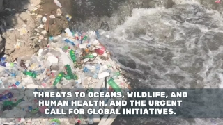 Oceans, Wildlife, and Human Health, and the Urgent Call for Global Initiatives