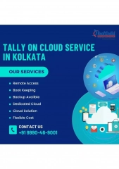 Tally on Cloud  Service in Kolkata by BsoftIndia.
