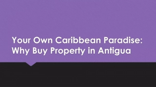 Your Own Caribbean Paradise: Why Buy Property in Antigua