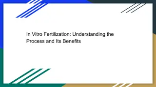 In Vitro Fertilization_ Understanding the Process and Its Benefits