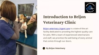 Introduction-to-Brijon-Veterinary-Clinic.pptx