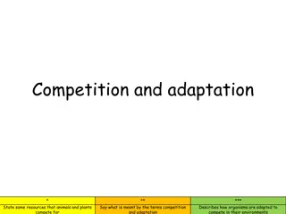 Competition and Adaptation in Nature