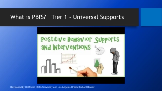 Positive Behavior Support Interventions in Education