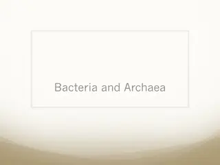 Bacterial Form and Function: Structures, Shapes, and Arrangements