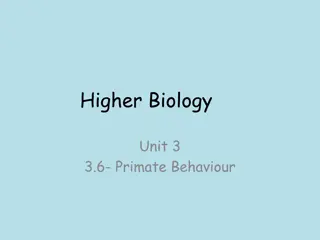 Primate Behavior: Insights into Social Dynamics
