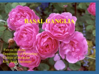 Role of Basal Ganglia in the Autonomic Nervous System