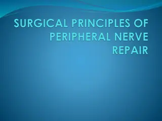Peripheral Nerve Injuries and Intervention Strategies