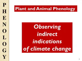 Plant and Animal Phenology in Relation to Climate Change