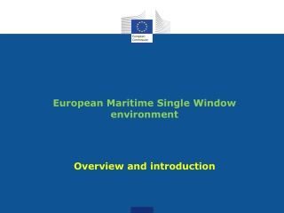 European Maritime Single Window environment