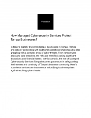 Safeguarding Tampa's Business Landscape_ The Crucial Role of Managed Cybersecurity Services