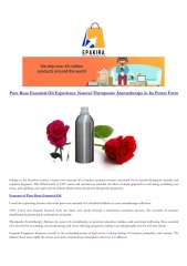 Pure Rose Essential Oil Experience Natural Therapeutic Aromatherapy