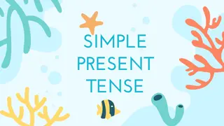 Simple Present Tense in English