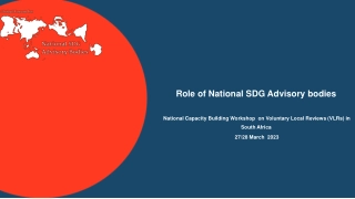 Role of National SDG Advisory bodies
