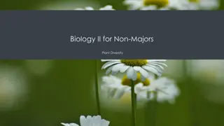 Plant Diversity through Evolutionary Traits
