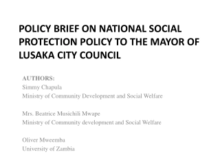 Enhancing Social Protection Policy for Female-Headed Households in Lusaka