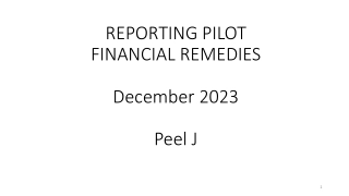 Reporting Pilot Financial Remedies