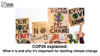 Understanding COP26: Key Points and Importance for Climate Change Action