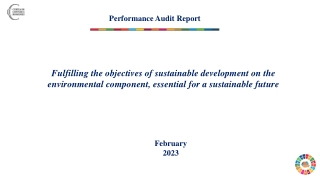 Sustainability Audit Report for Romania's Environmental Development Goals