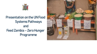 Sustainable Food Systems and the Feed Zambia Zero Hunger Programme