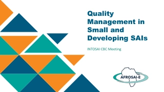 Quality Management in Small and Developing SAIs