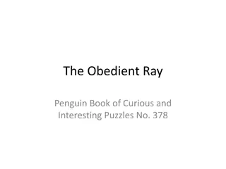 The Obedient Ray Puzzle Journey