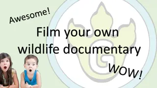 Your Creativity: Film Your Own Wildlife Documentary!