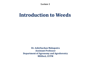 Introduction to Weeds