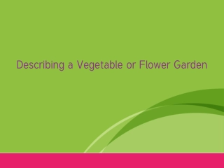 Describing a Vegetable or Flower Garden