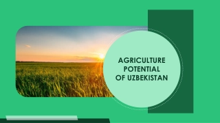 Agriculture Potential of Uzbekistan: Overview and Strategic Priorities