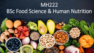 BSc Food Science & Human Nutrition Programme Overview