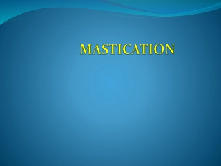 Understanding Mastication in Digestive System