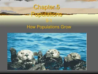 Population Growth: Characteristics and Factors
