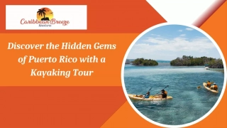 Discover the Hidden Gems of Puerto Rico with a Kayaking Tour