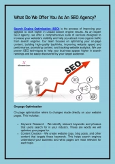 What Do We Offer You As An SEO Agency