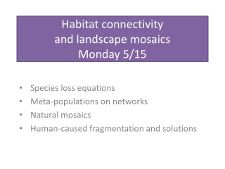 Understanding Habitat Connectivity and Landscape Mosaics