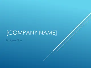 Comprehensive Business Plan Overview