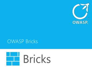 OWASP Bricks - Web Application Security Learning Platform