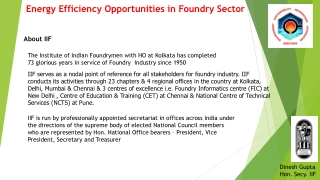 Energy Efficiency Opportunities in Foundry Sector with IIF